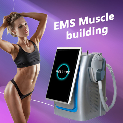 600w 5 manijas EMS máquina de escultura para Neo RF 14 Tesla cuerpo de escultura del cuerpo adelgazamiento
