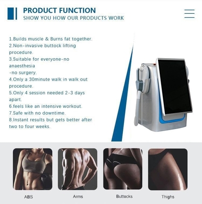 Máquina de estimulación muscular electromagnética no invasiva RF Máquina de belleza delgada 5000W para bajar de peso